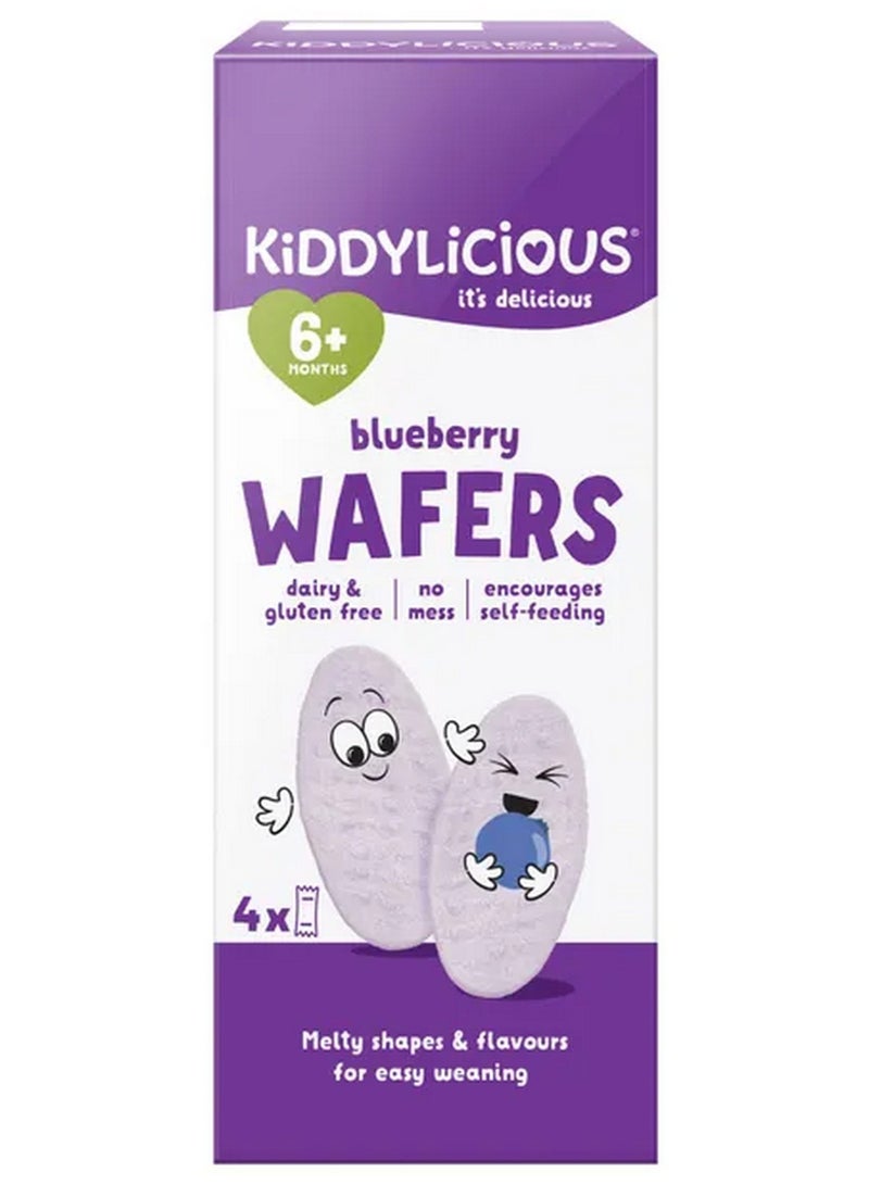 Blueberry Wafers For 6+ Months 4 X 4 G